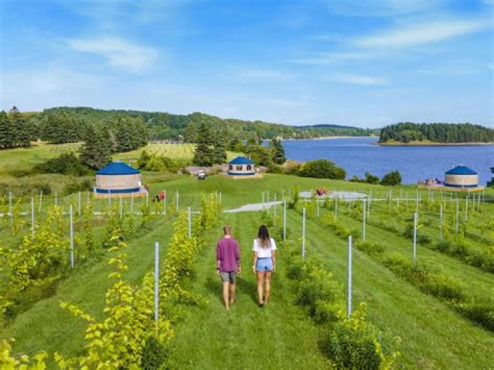 Are BC provincial parks open to non residents?