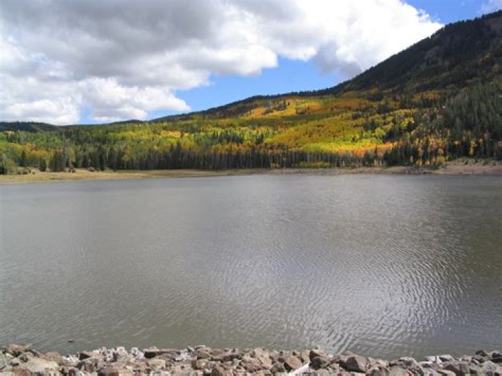 Can you swim in Wattamolla dam?
