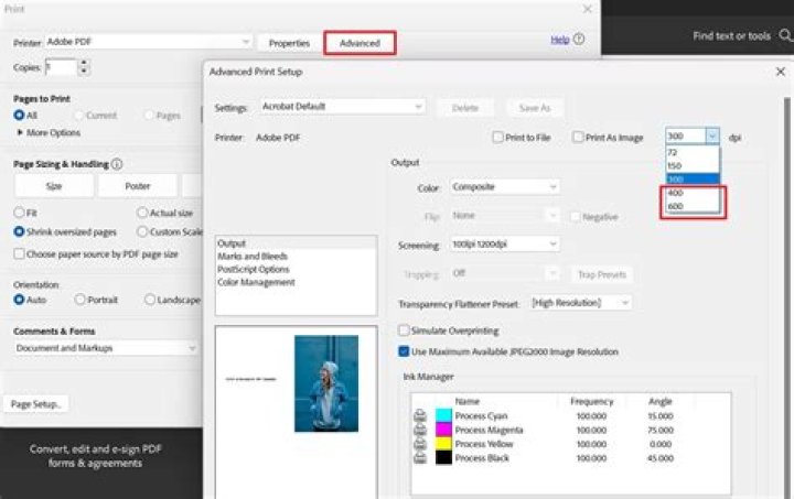 Como verificar quantos DPI tem um PDF?