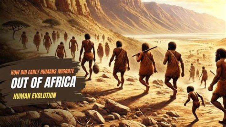 Did humanity begin in africa?