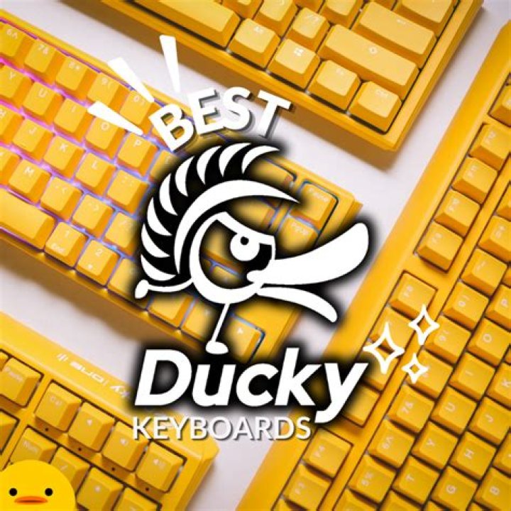 Do Ducky keyboards have macros?