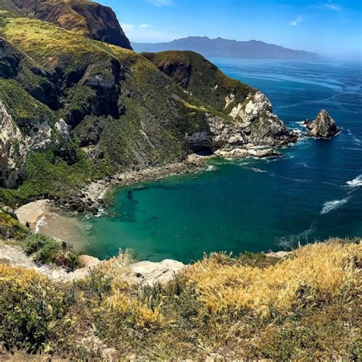 Does nags head allow dogs?