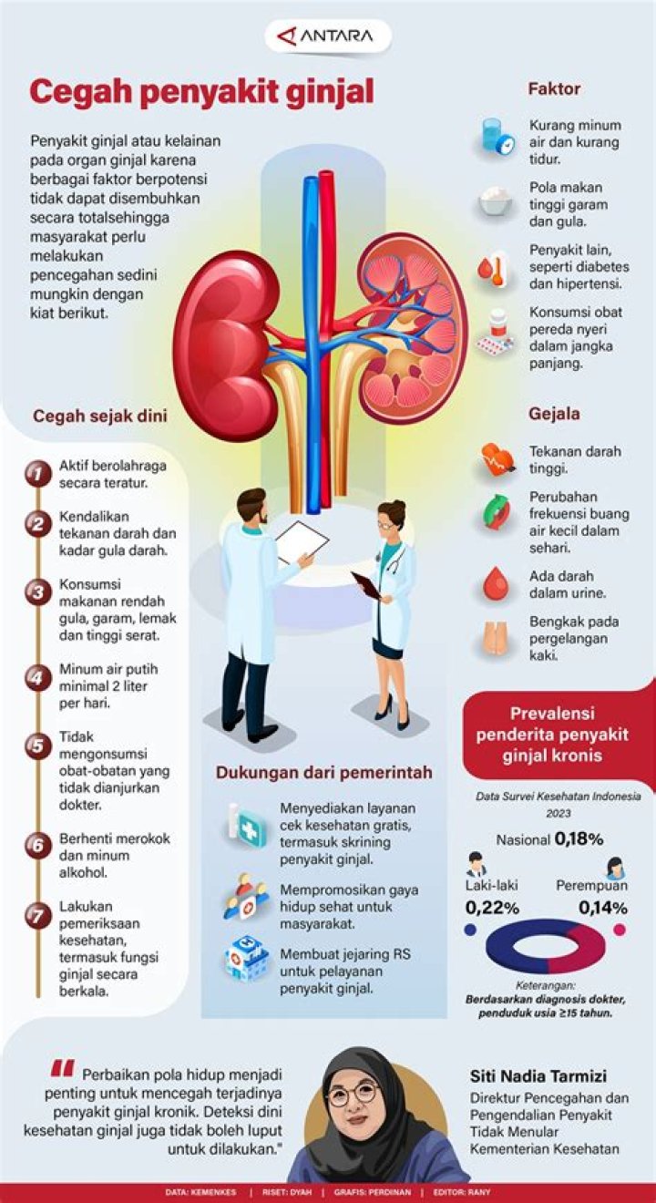 Ginjal rusak apakah bisa sembuh?