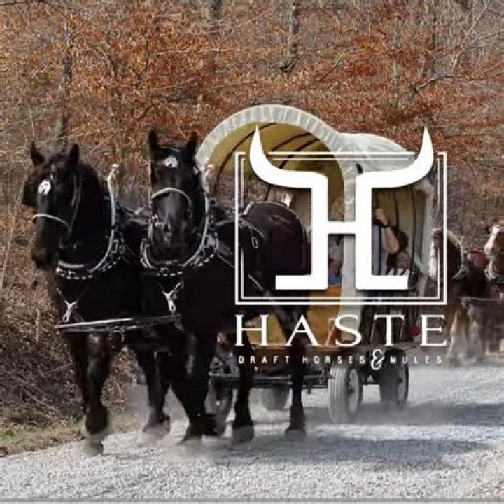 Has eBay changed the way you get paid?