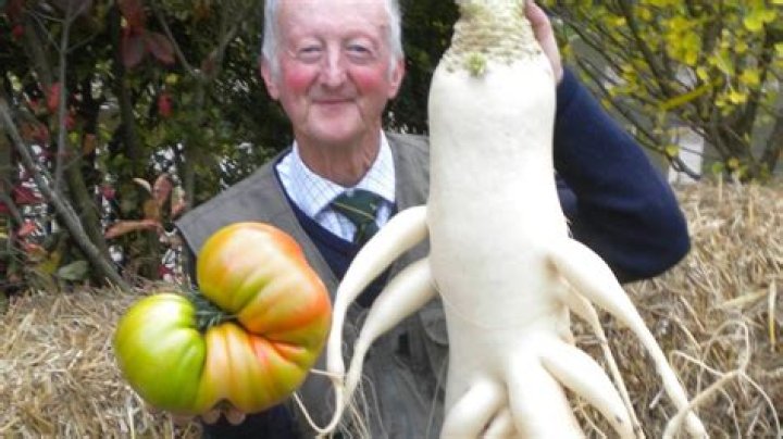 How do giant vegetables grow?