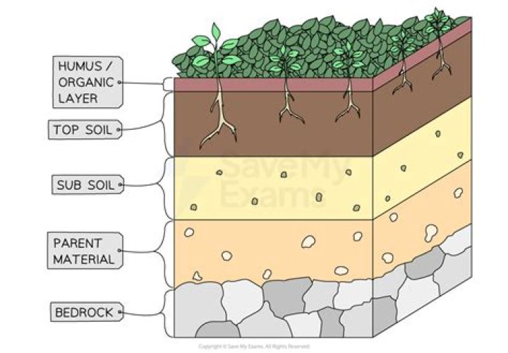How do you keep topsoil in place?