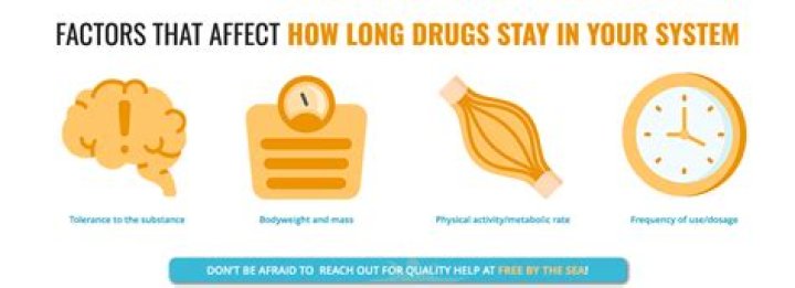 How long does frontline stay in system?