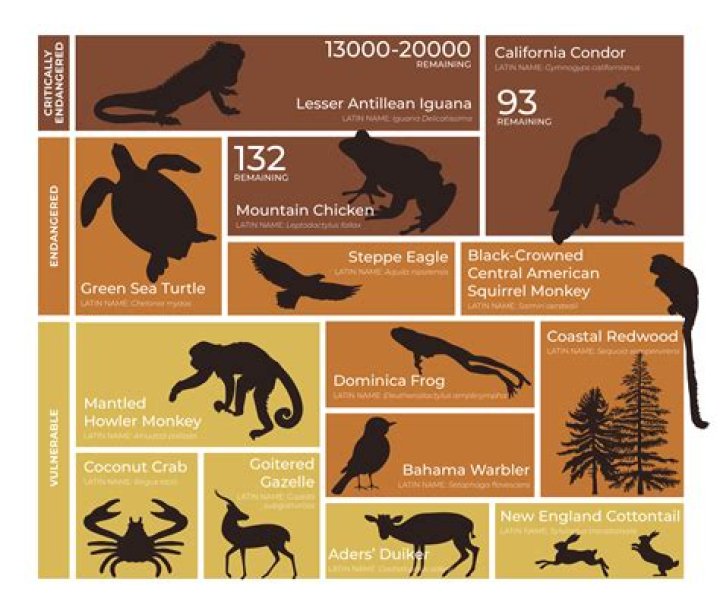 How many endangered species are in California?