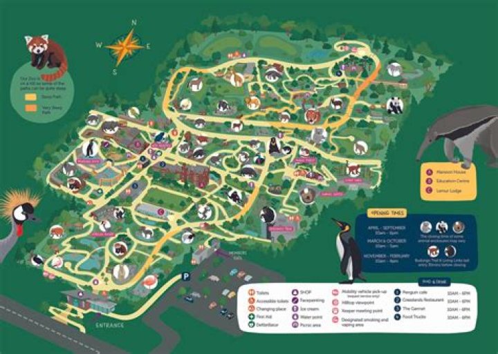 How many species does Edinburgh Zoo have?