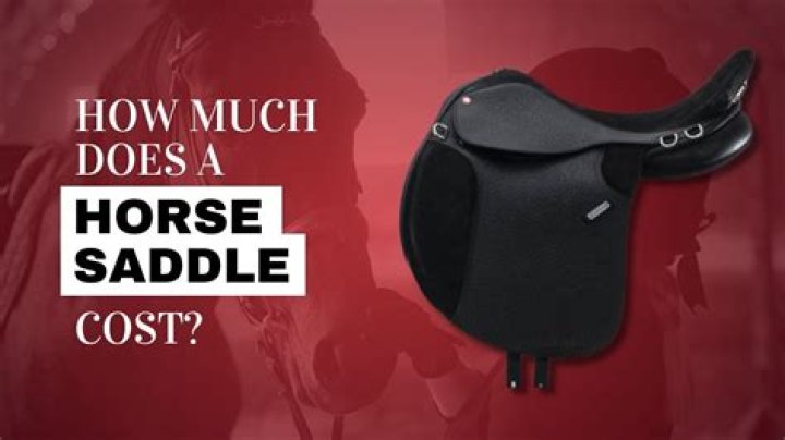 How much does a custom made saddle cost?