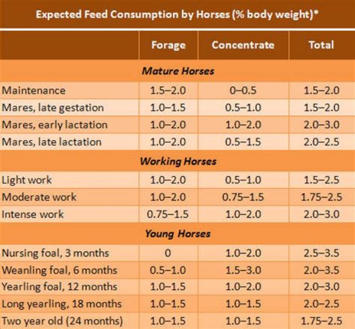 How much grain should I feed my yearling horse?