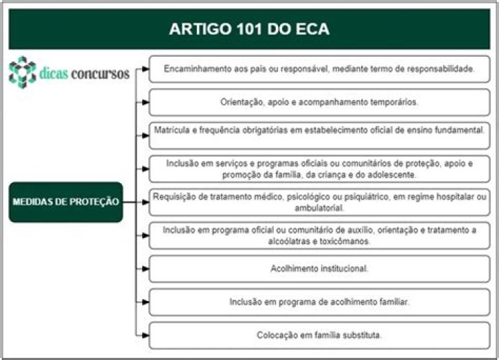O que diz o artigo 101 do ECA?
