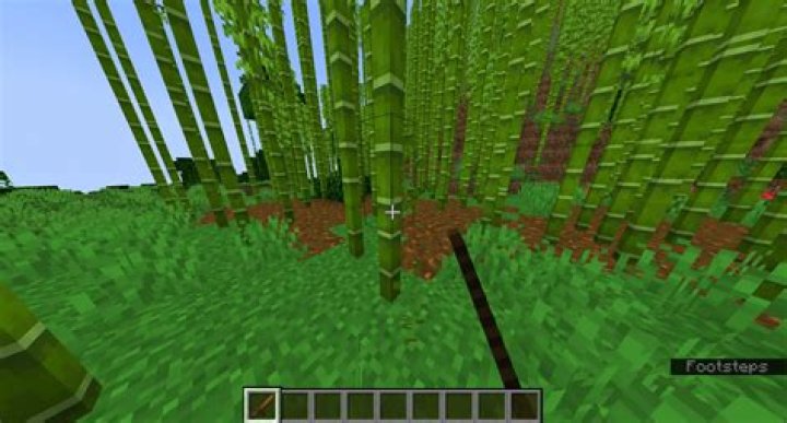 Were to find bamboo in minecraft?