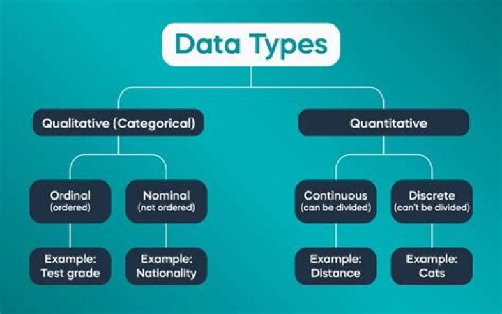 What are the data types used in Excel?