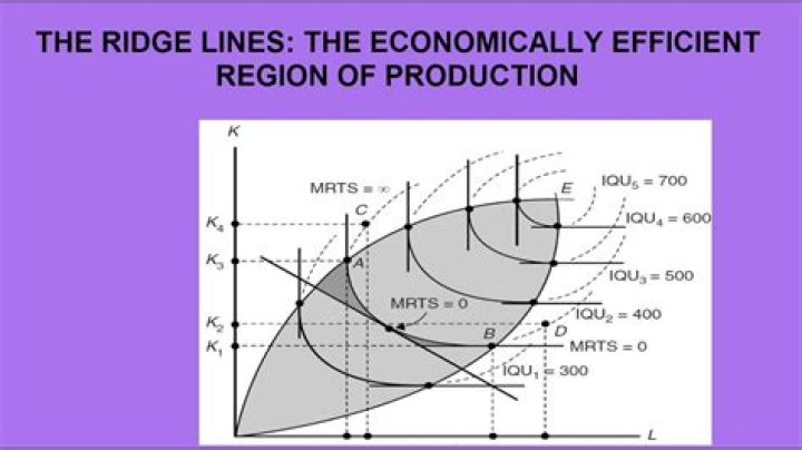 What do you mean by economic region of production?