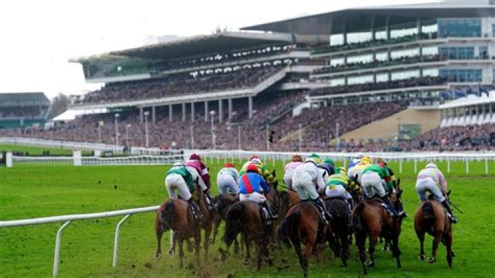 What horses died at Cheltenham 2020?