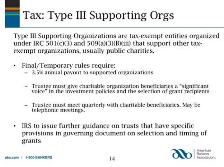 What is a Type III supporting organization?