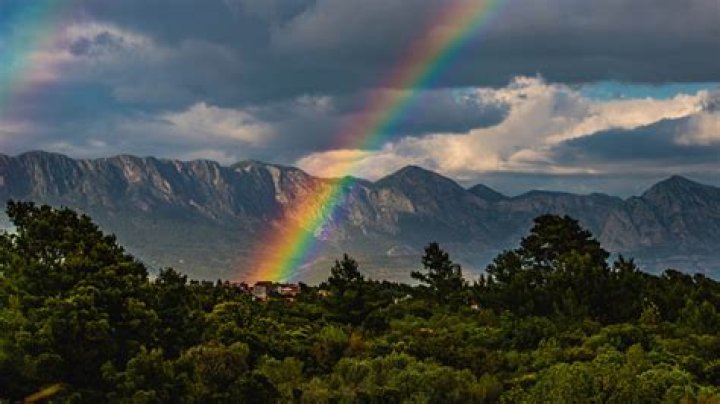 What is Covenant leadership?