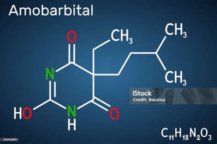 What is intracarotid sodium amobarbital?