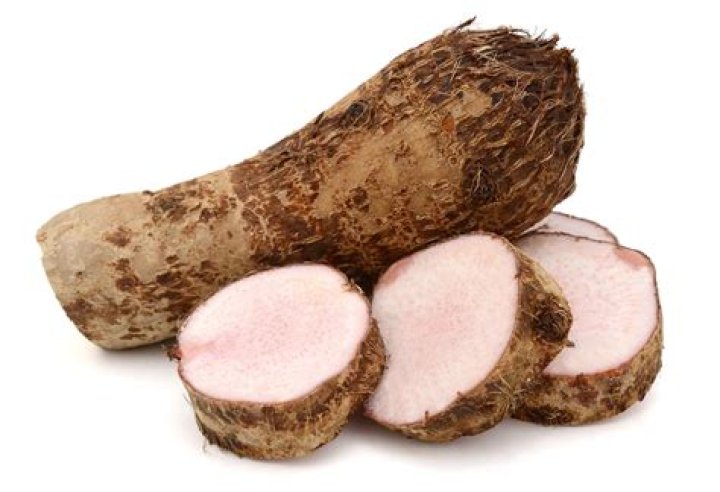 What is malanga lila?