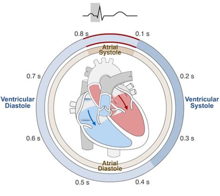 What is meant by spoliate?