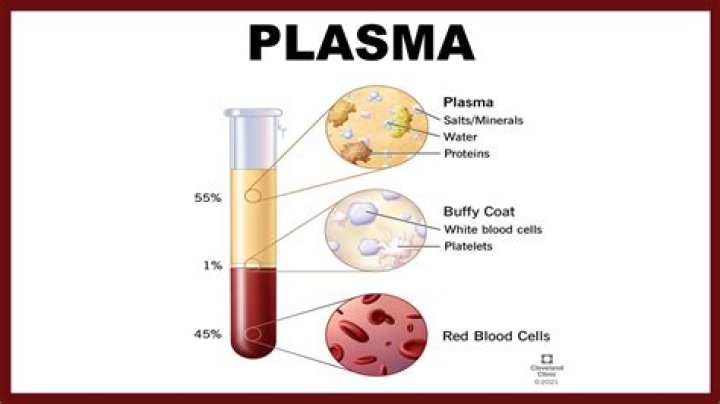 What is plasma microblast?