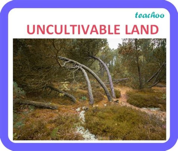 What is the meaning of uncultivable land?