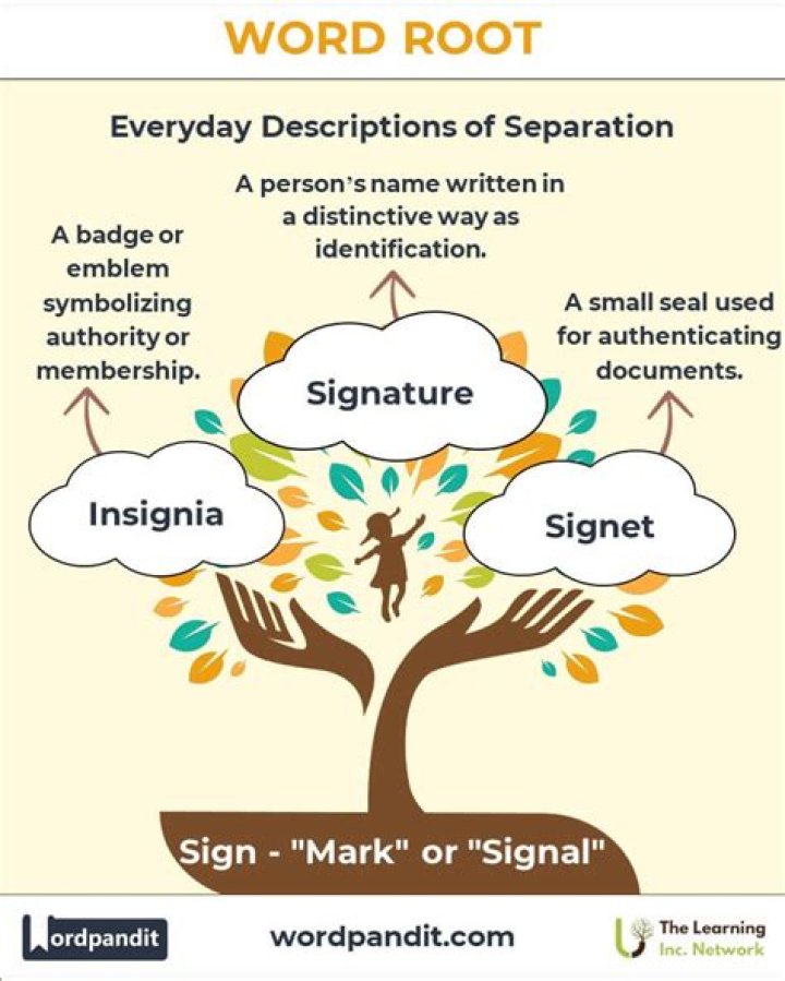 What is the root word of spending?