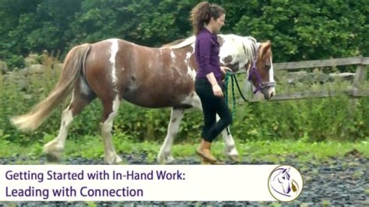 Where do you stand when leading a horse?