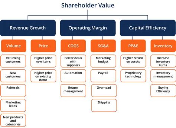 Who is shareholder value?