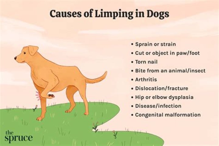 Why the limping down is important?